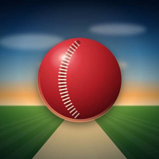 Fast Cricket VR 게임 이미지