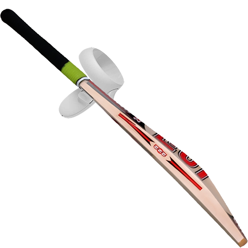 CRICKET VR 게임 이미지