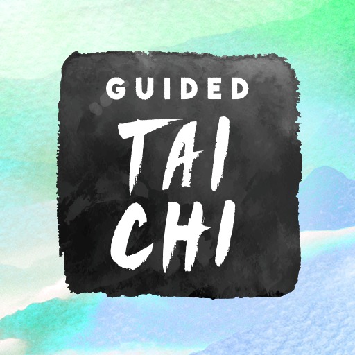 Guided Tai Chi 게임 이미지