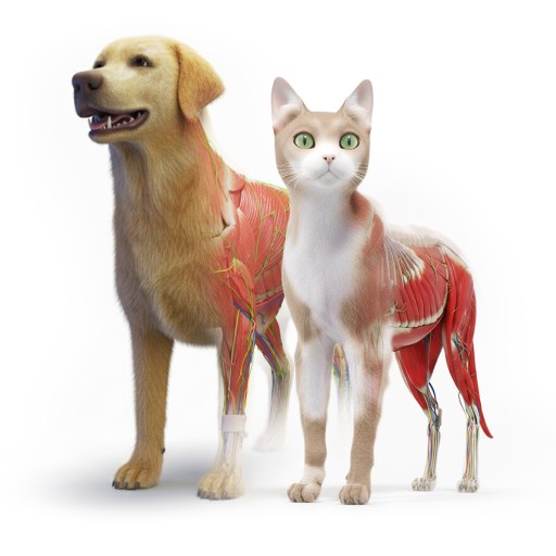 Animal Anatomy XR 게임 이미지