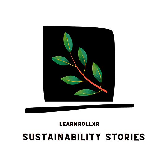 Sustainability Stories - The Wise Raccoon 게임 이미지
