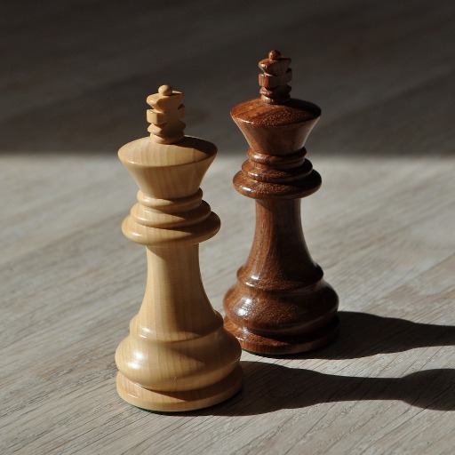 Virtual Chess 게임 이미지