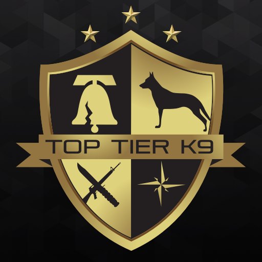 Top Tier K9 게임 이미지