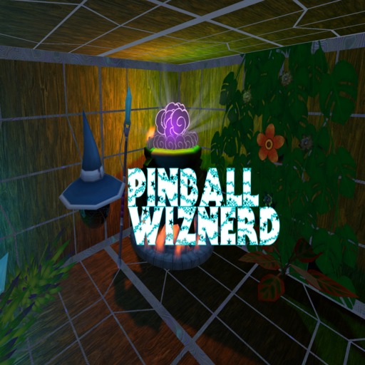 Pinball Wiznerd 게임 이미지