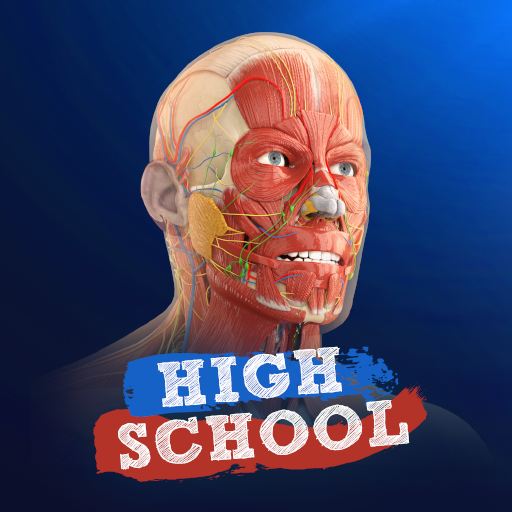 High School Anatomy for Quest 게임 이미지