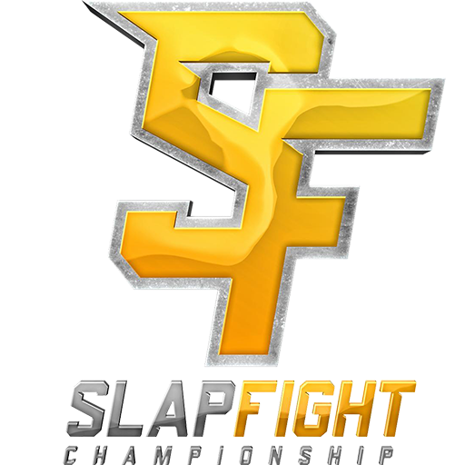 SlapFIGHT CHAMPIONSHIP VR 게임 이미지
