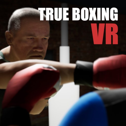 True Boxing VR 게임 이미지