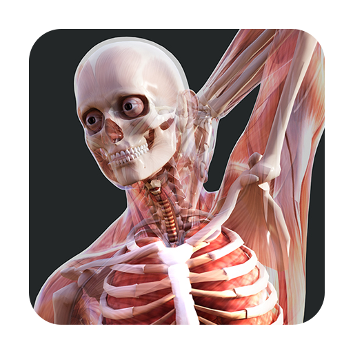 Human Anatomy VR – Medical Education 게임 이미지