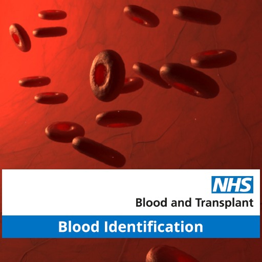 NHSBT Blood Identification VR AL 게임 이미지