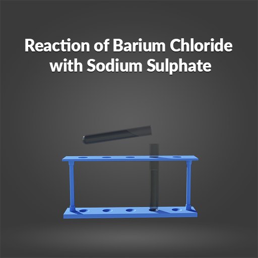Reaction of Barium Chloride with Sodium Sulphate 게임 이미지