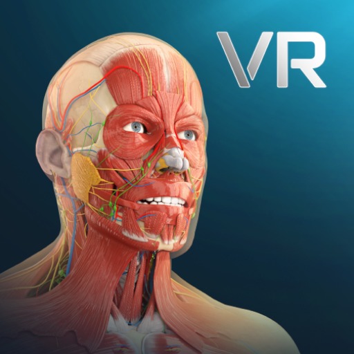 Human Anatomy VR 게임 이미지