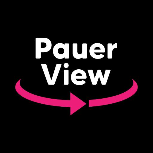 Pauer View 2024 게임 이미지
