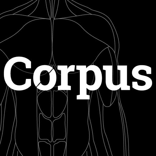 Corpus | Anatomy 게임 이미지