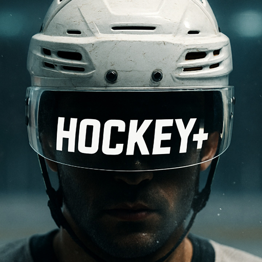 Hockey+ VR 게임 이미지