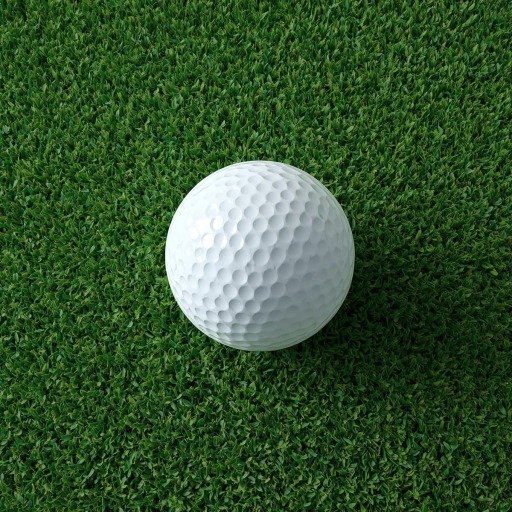Putt Dojo | Real Ball Golf Putting 게임 이미지