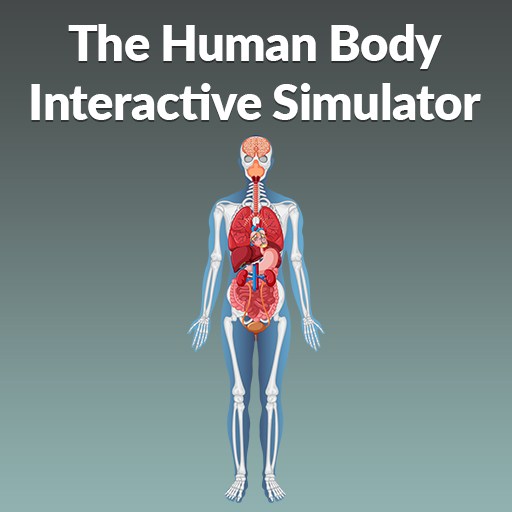 The Human Body Interactive Simulator 게임 이미지