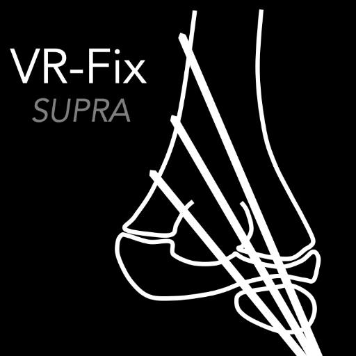 VR Fix Supra 게임 이미지