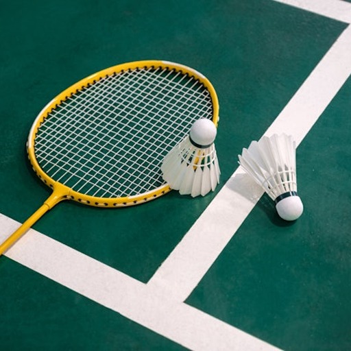 Badminton Smash - Sports Game 게임 이미지