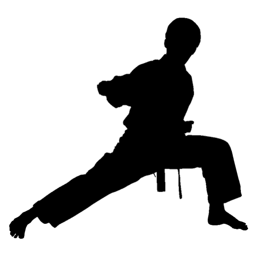 Taekwondo Poomsae Trainer 게임 이미지